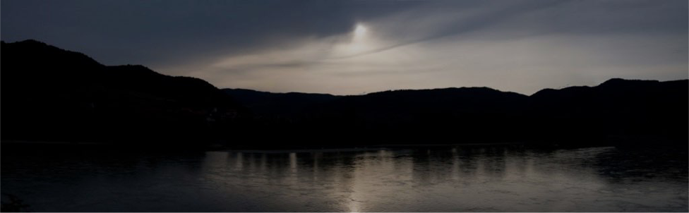 dans les danube.png
