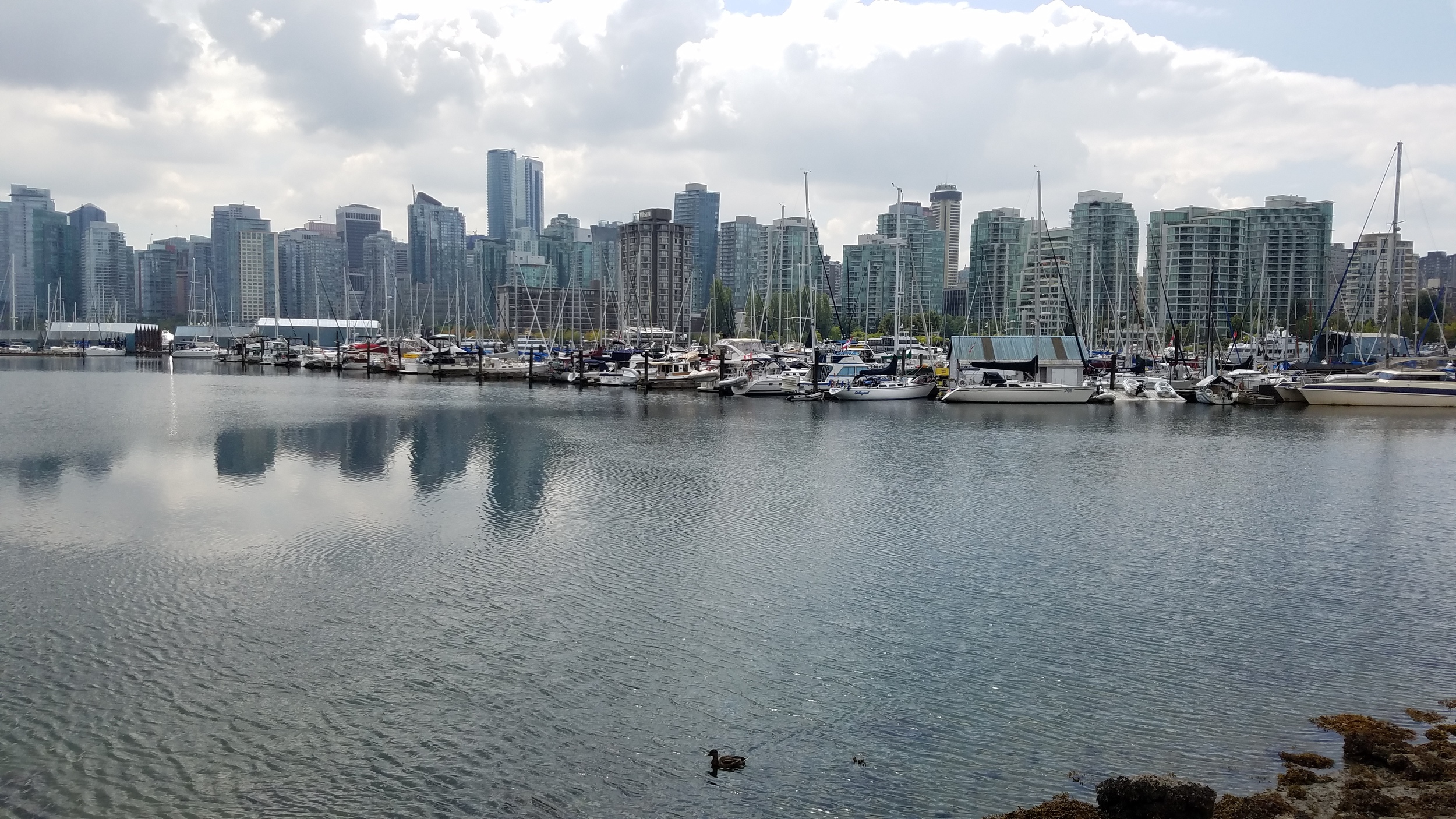 20160808_131516.jpg
