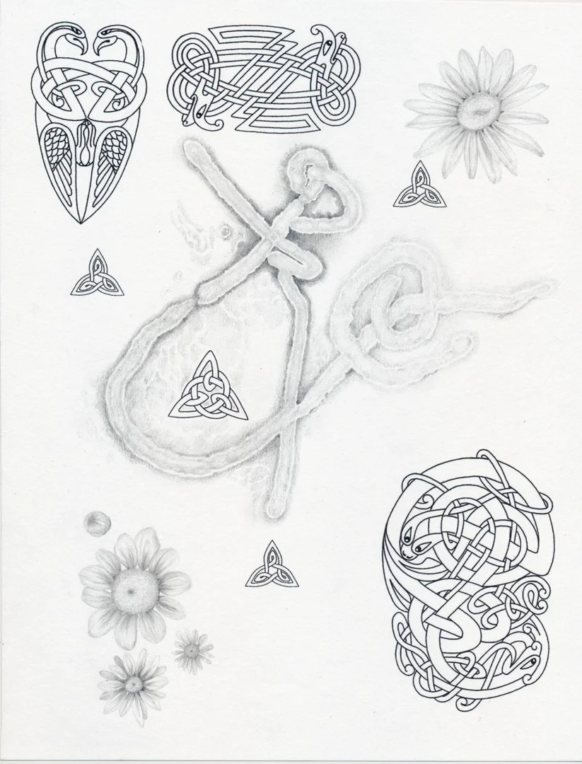 "Ebola", pencil and inkjet print on paper, 8.5 x 11", 2014