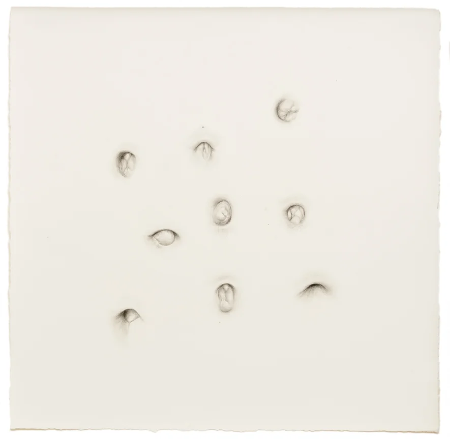 “Untitled ( Bellybuttons)” pencil, colored pencil on paper, 15” x 15”, 2014