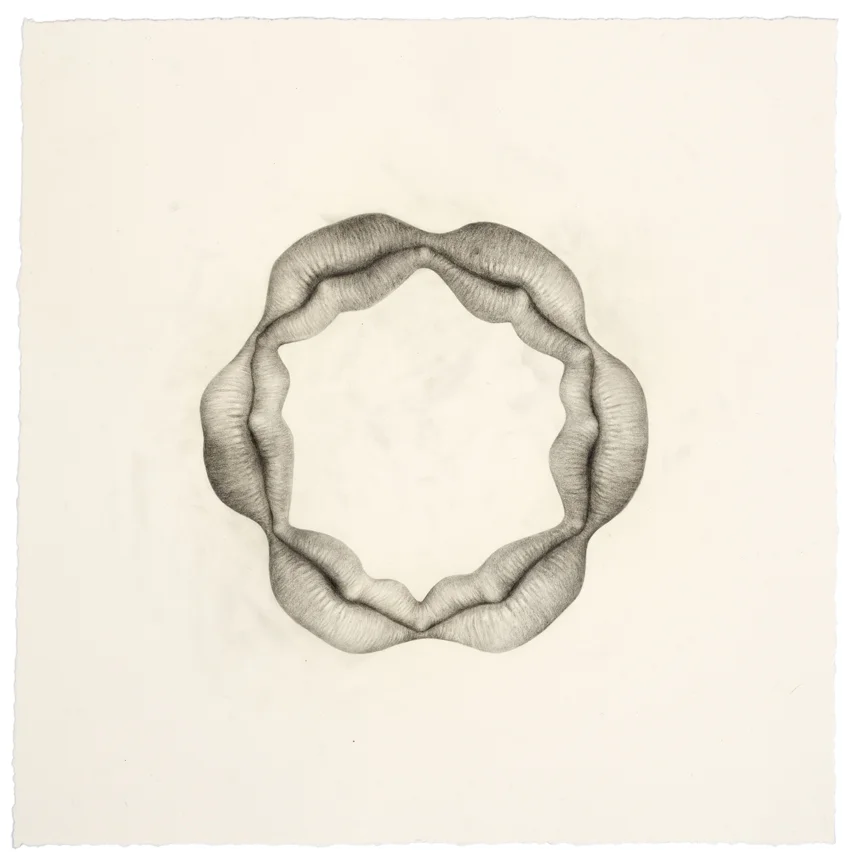 “Untitled (Lips)” pencil, colored pencil on paper, 15” x 15”, 2014