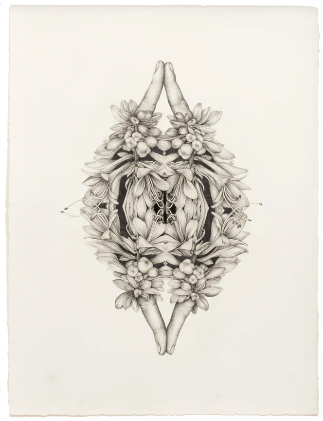 “Untitled (Rorschach Flowers 2)”, pencil, colored pencil on paper, 18" x 13.5”, 2014