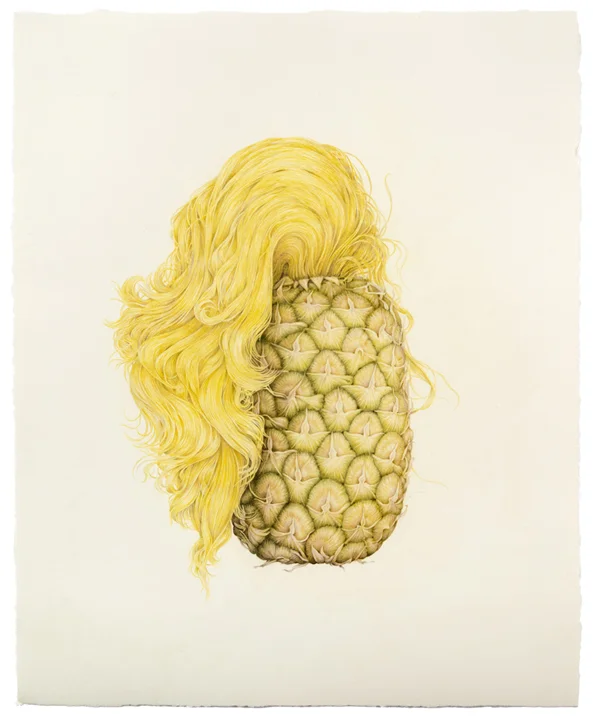 "Selfie (Pineapple Hair)" colored pencil on paper, 19.5" x 16", 2013