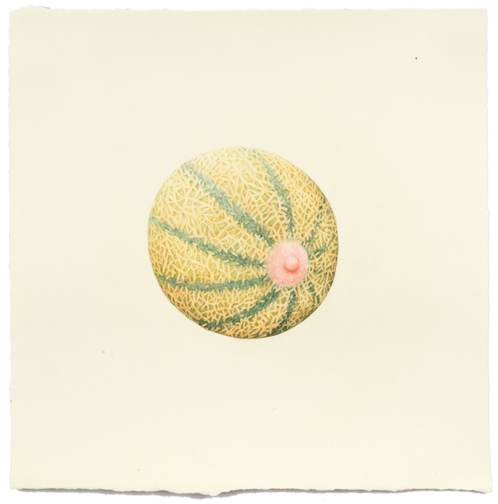 "Untitled (Cantolope Nipple)" colored pencil on paper, 16" x 16", 2013