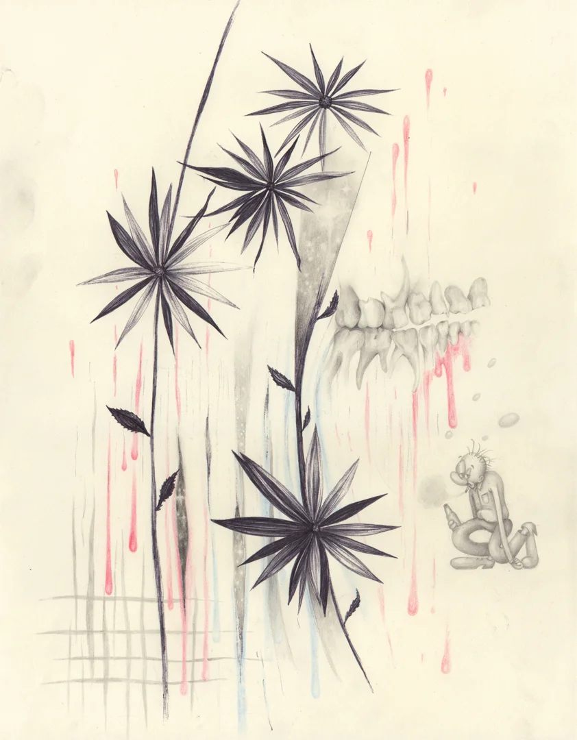 aurel_schmidt_misery_teeth_web.jpg