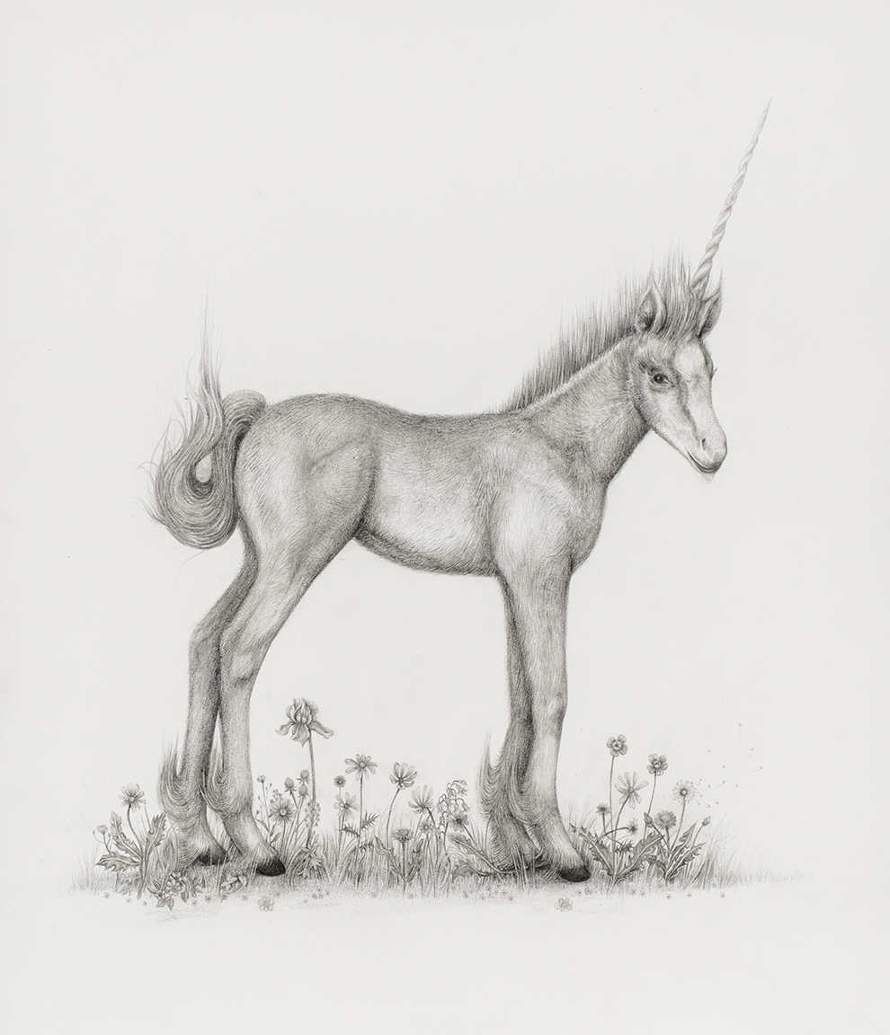 aurel_schmidt_ppow_unicorn_crop.jpg