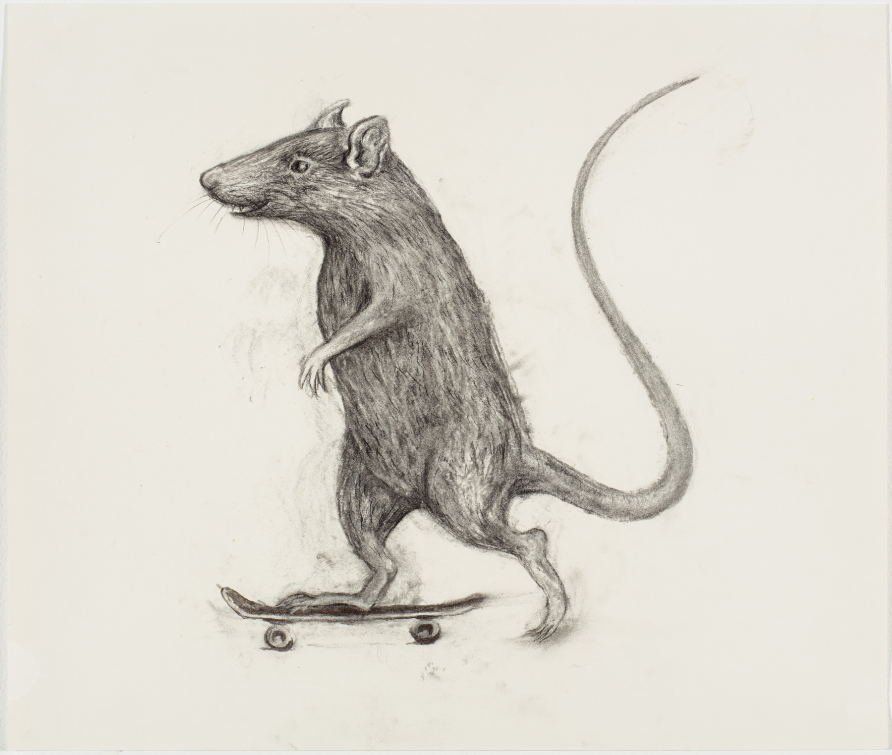 aurel_schmidt_ppow_skaterat_2.jpg