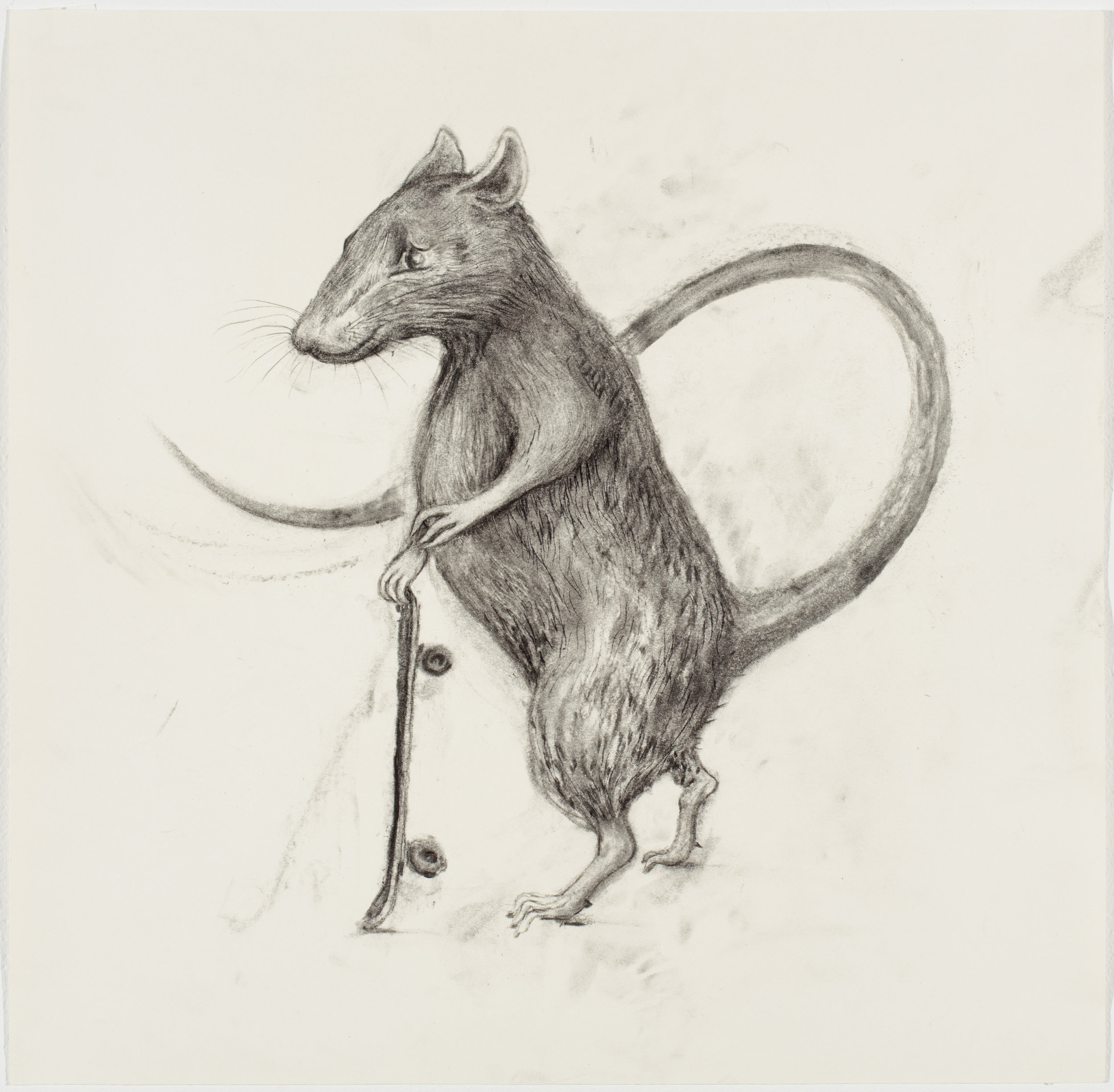 aurel_schmidt_ppow_skaterat_1.jpg