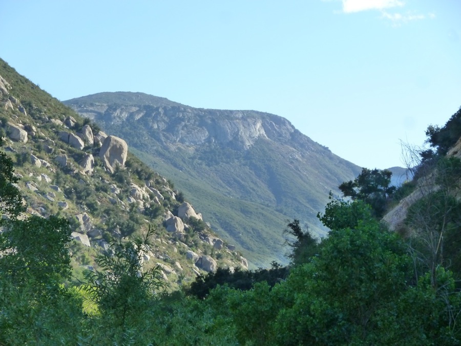  Preserving the Paradise Mountain Wildlife Corridor     Learn More  