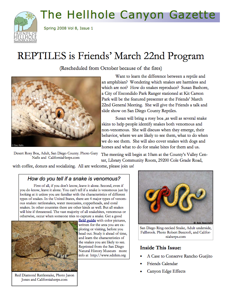 March 2008 Newsletter: Reptiles, Rancho Guejito