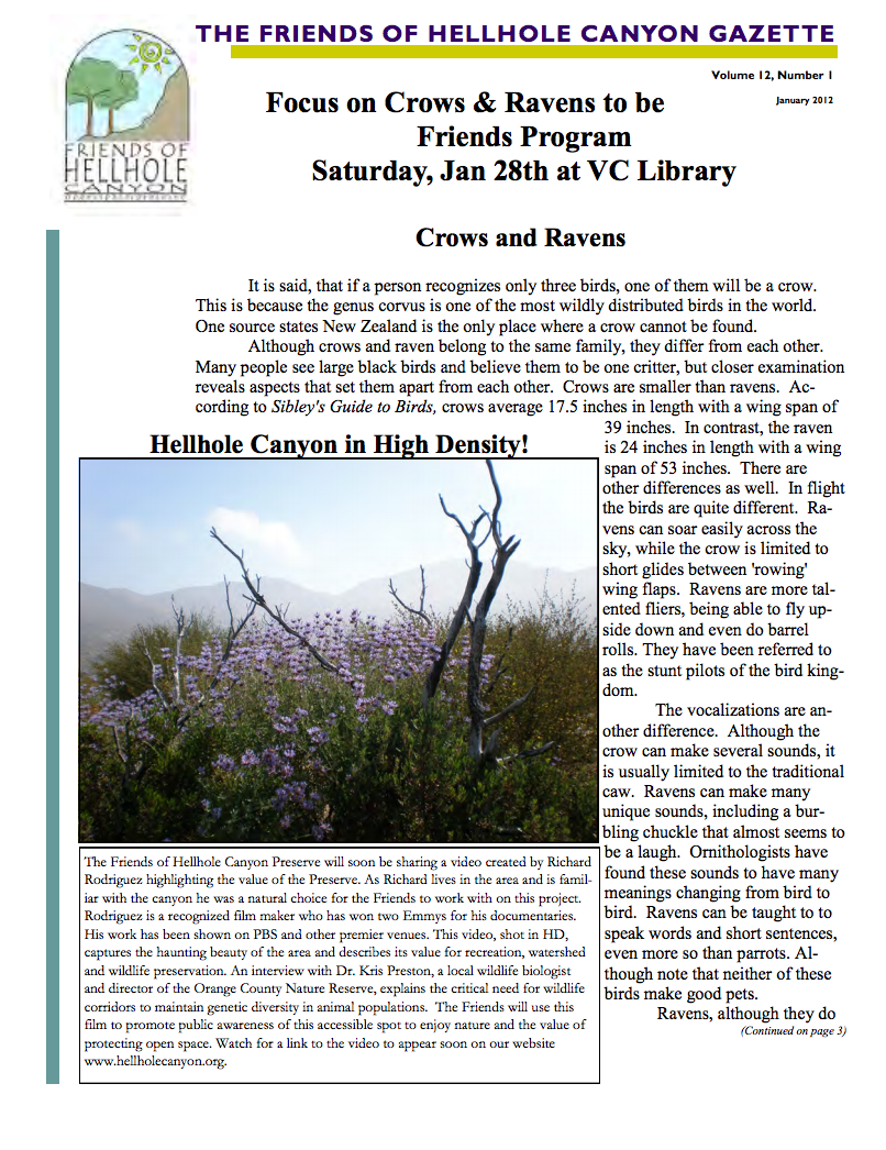 January 2012 Newsletter: Crows & Ravens