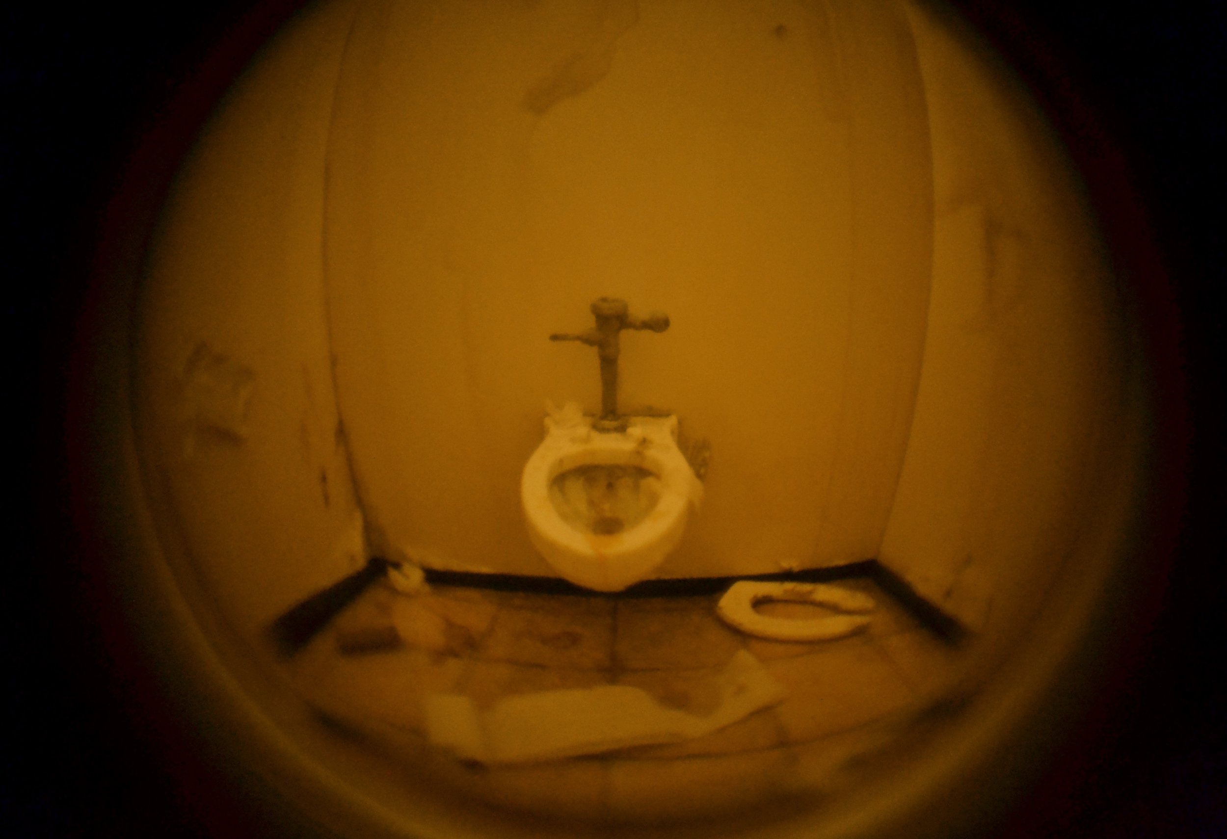 Nightmare Bathroom #2 (detail)