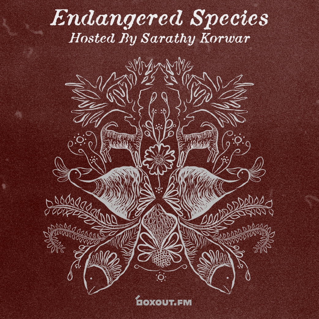 ENDANGERED SPECIES