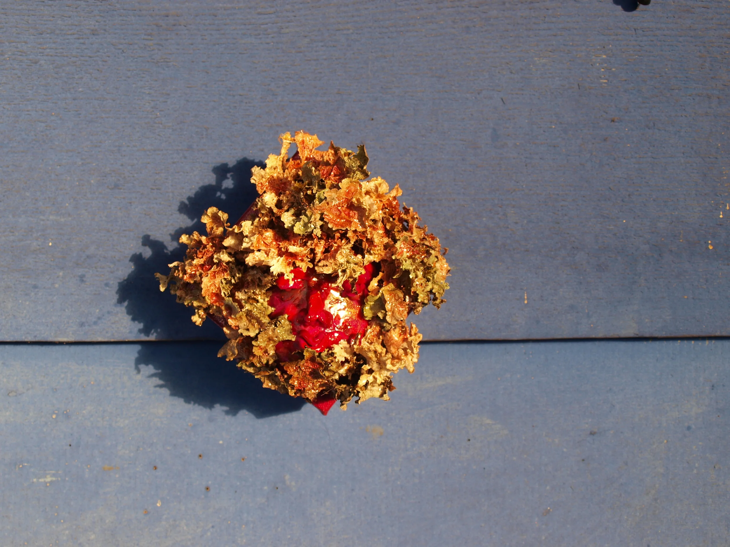 green men: anticipation