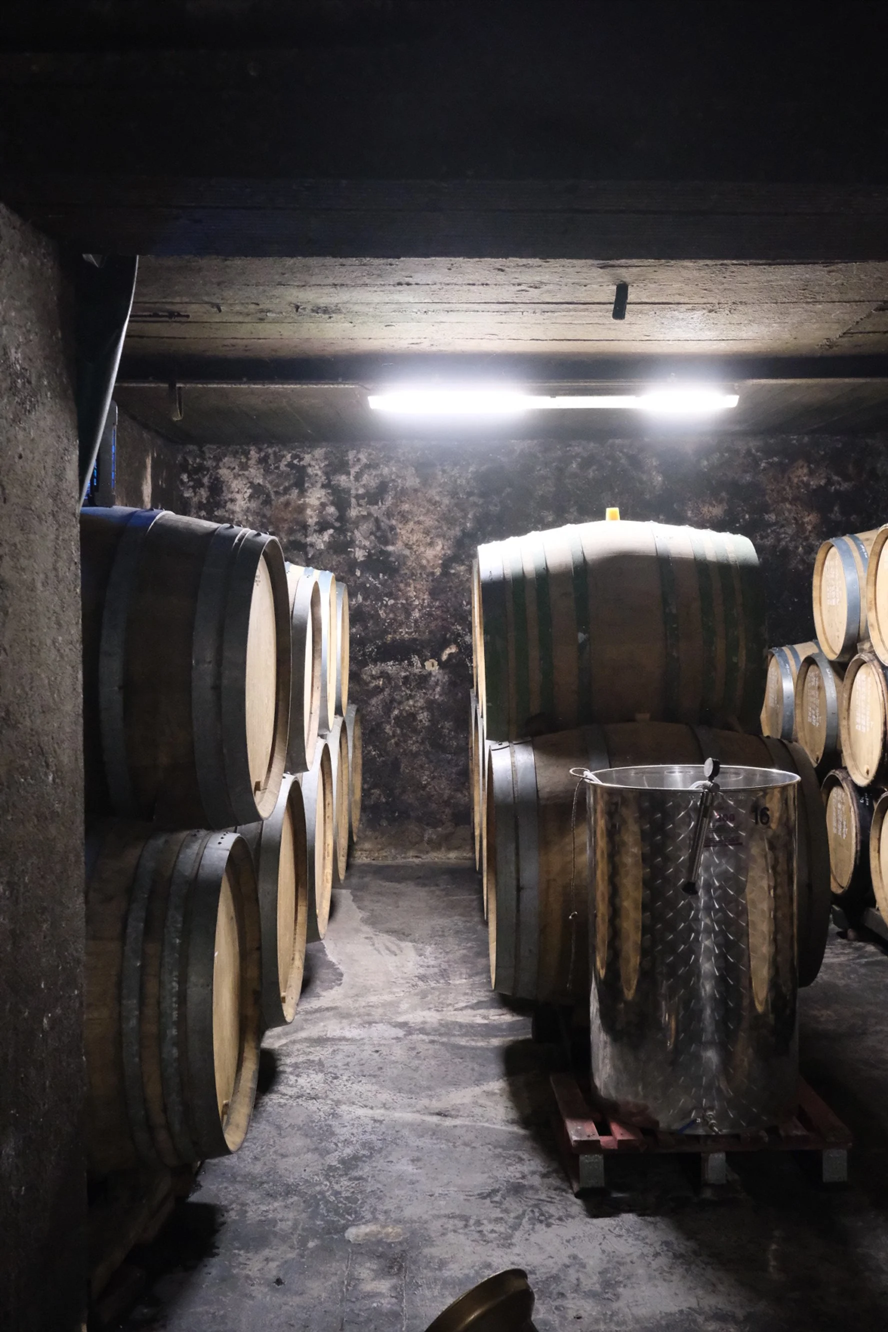 wasenhaus_melin_vin_06.jpg