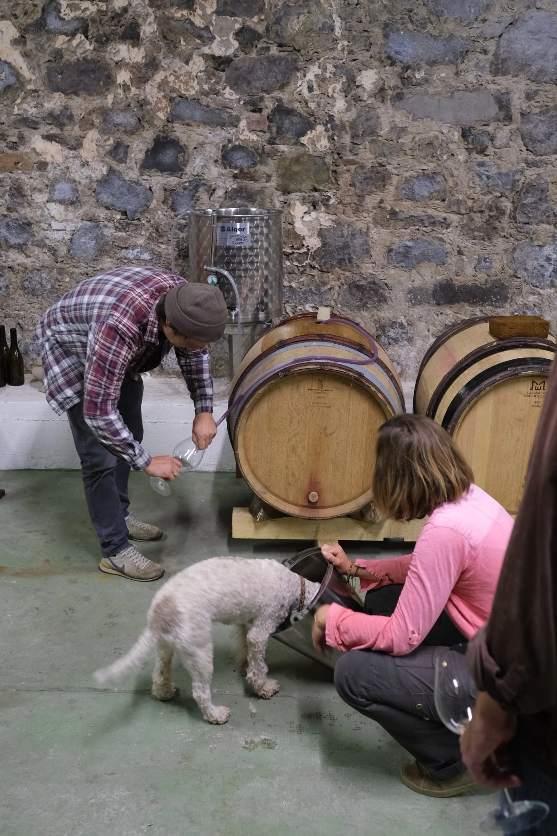 weingut_beck_melin_vin_10.jpg