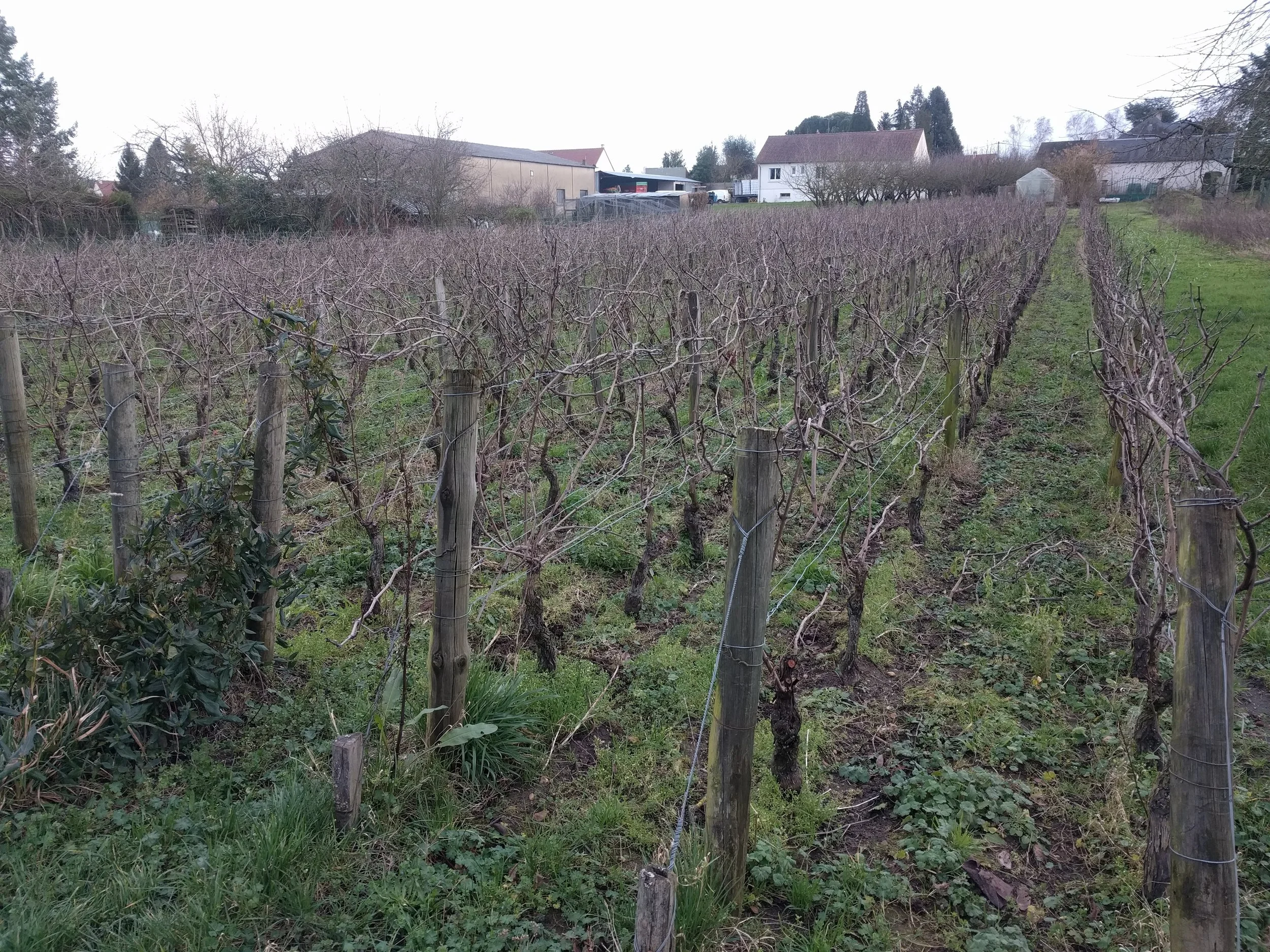 reynald_heaule_melin_vin_02.jpg