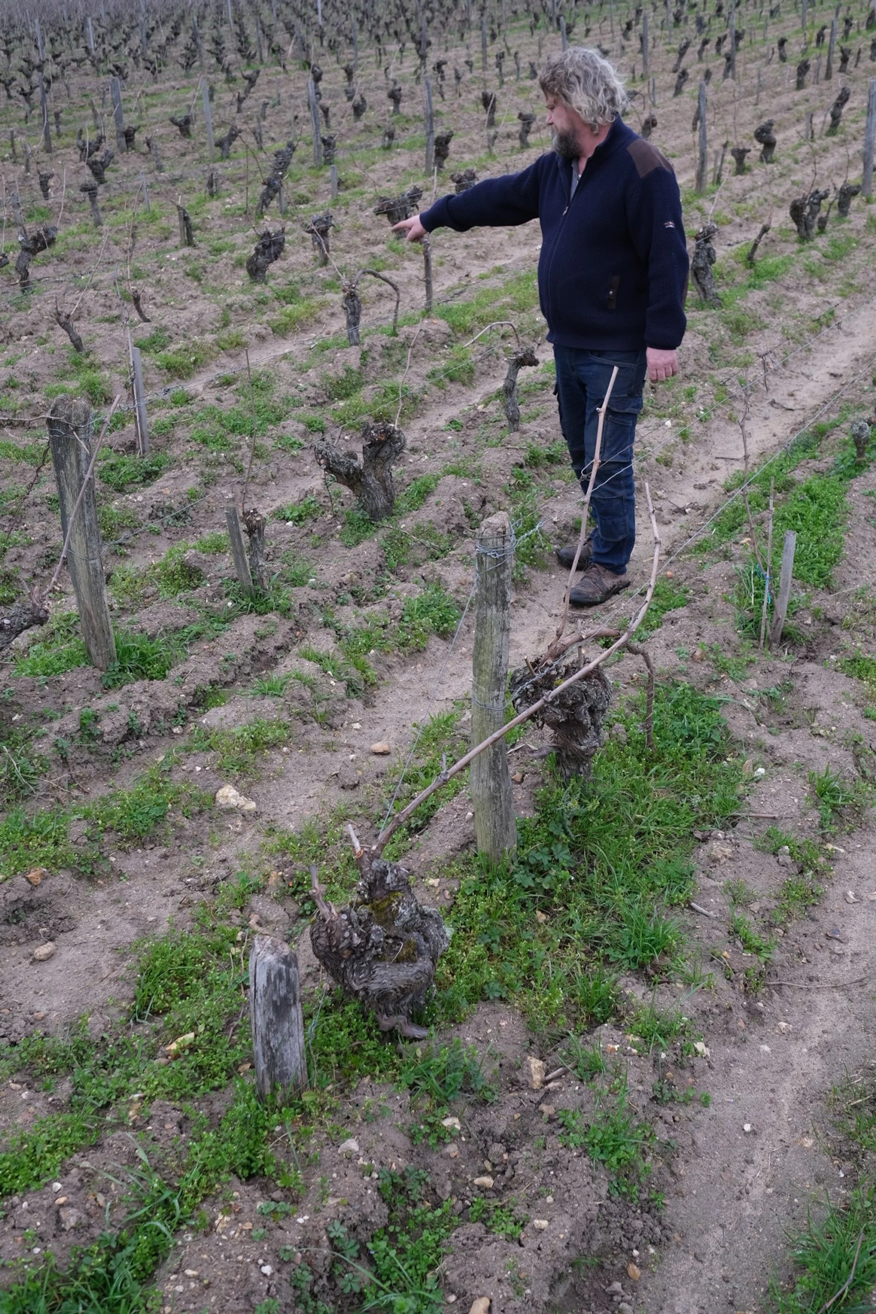 Christian_venier_melin_vin_05.jpg