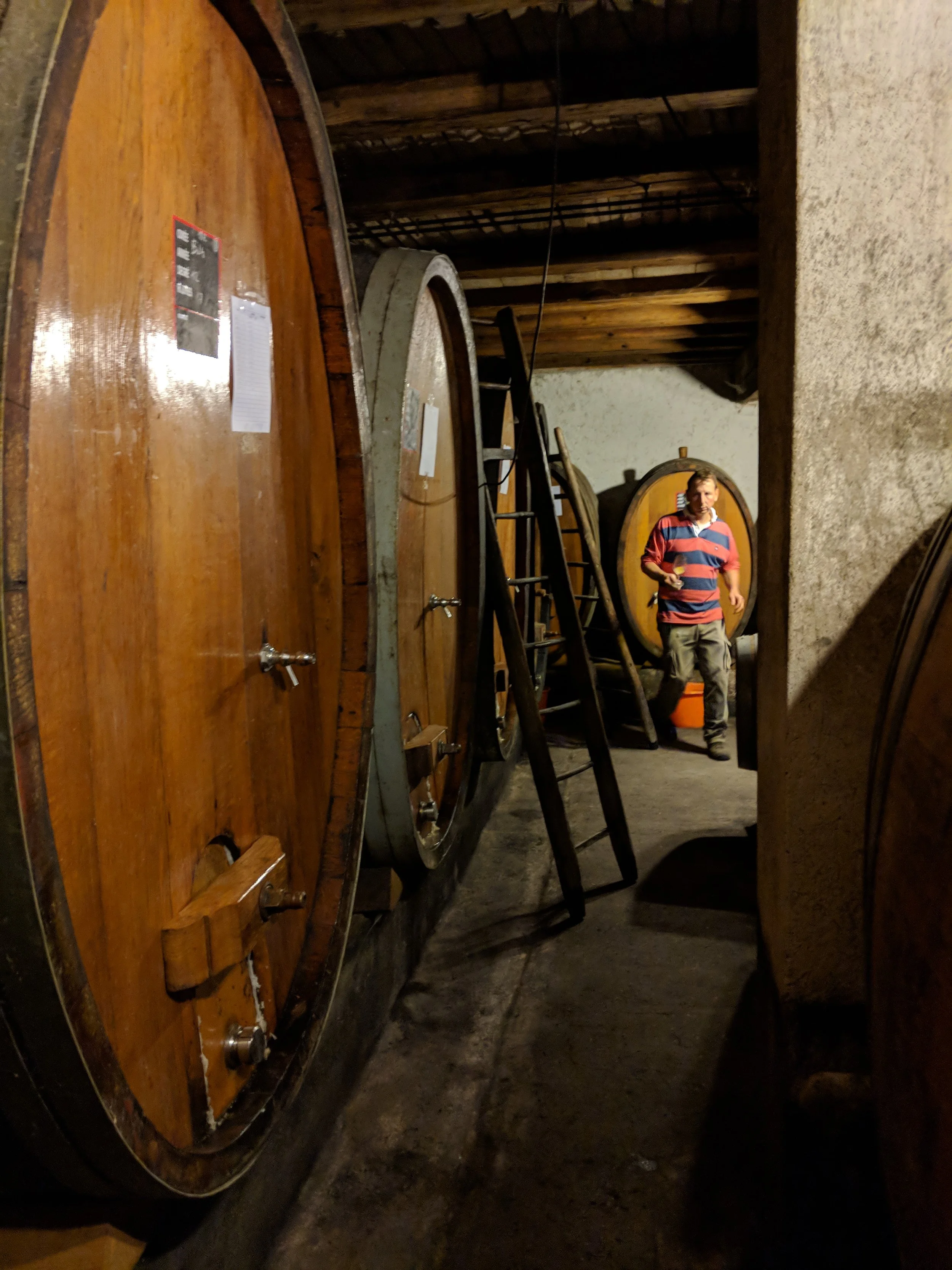 jean_ginglinger_melin_vin_03.jpg