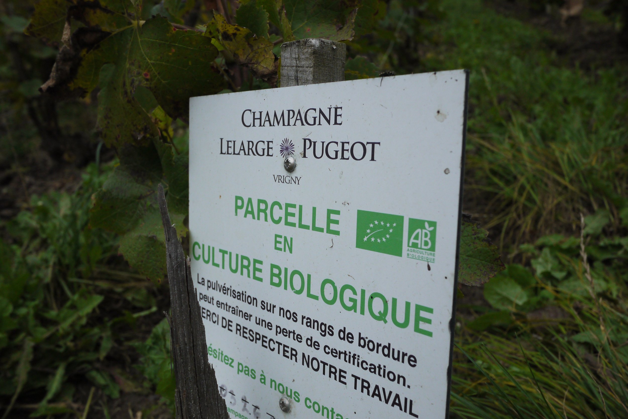 lelarge-pugeot_melin_vin_02.jpg