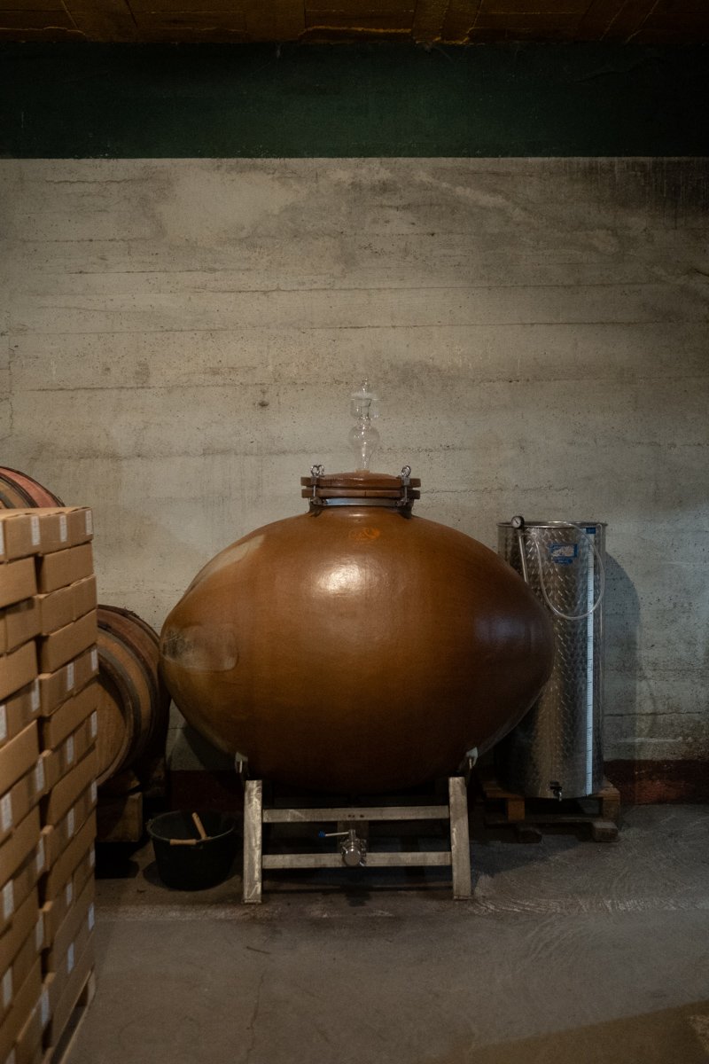 maison_en_belles_lies_melin_vin_02.jpg