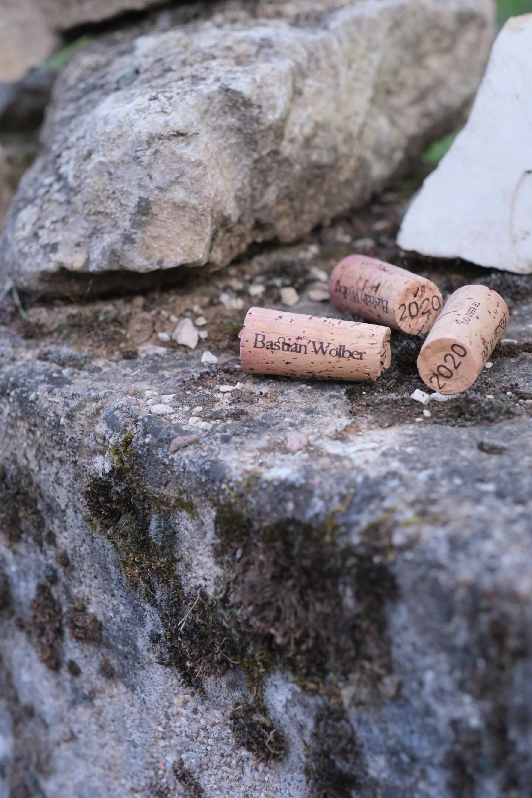 bastian_wolber_melin_vin_10.jpg