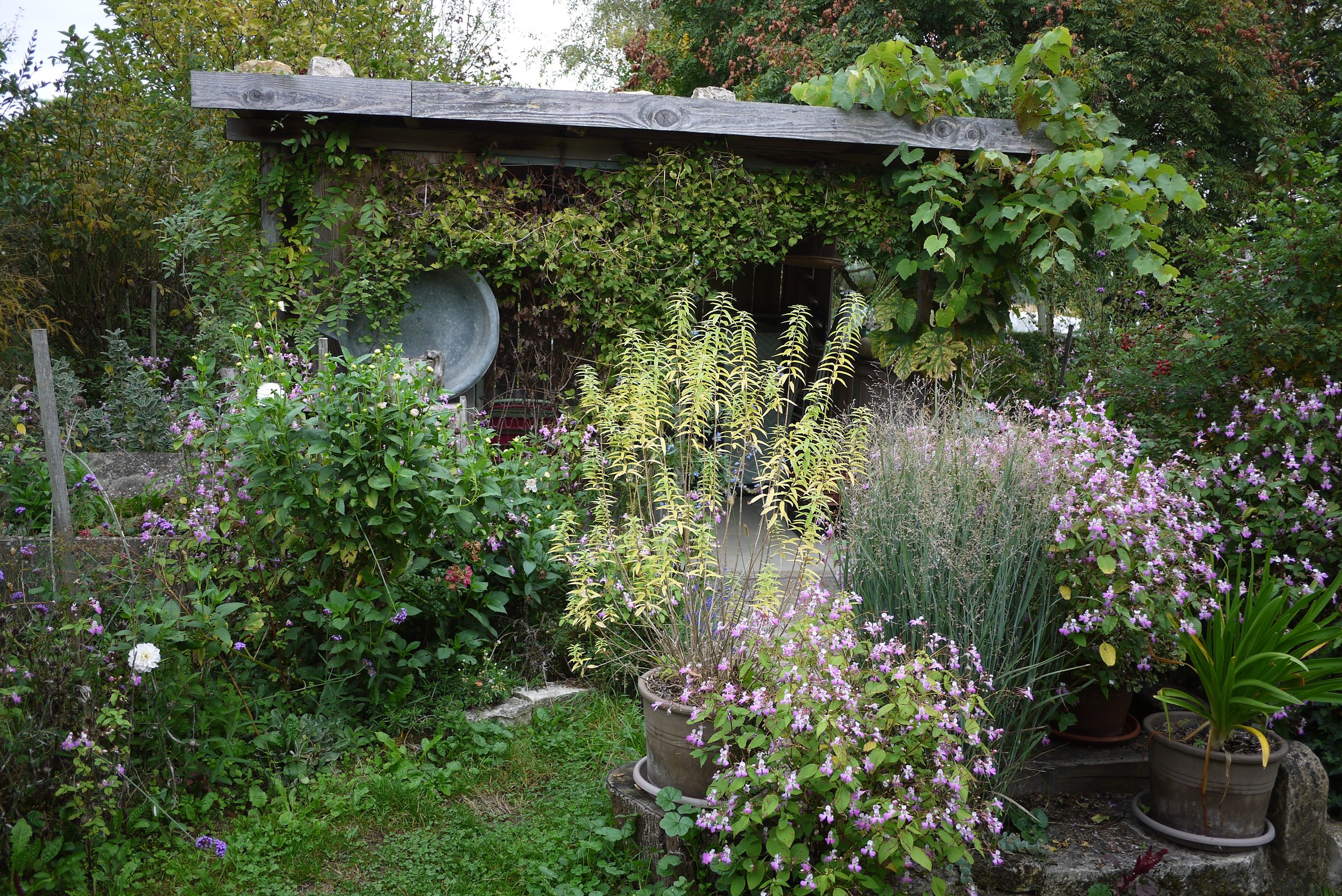 domaine_des_fauvettes_melin_vin_01.jpg