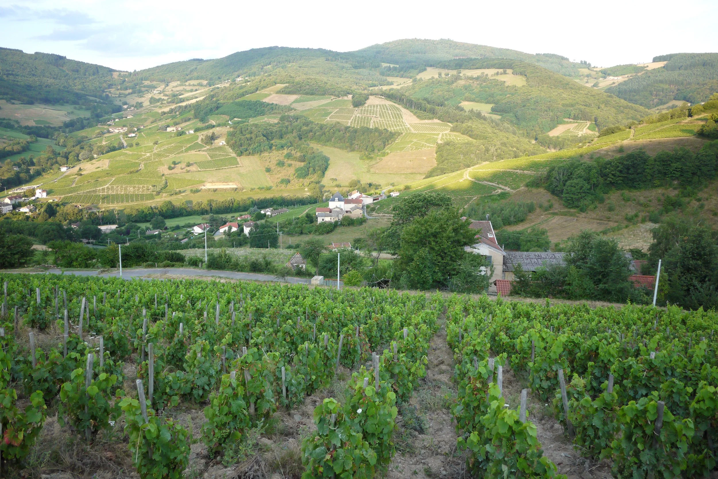 le_grain_de_seneve_melin_vin_04.jpg