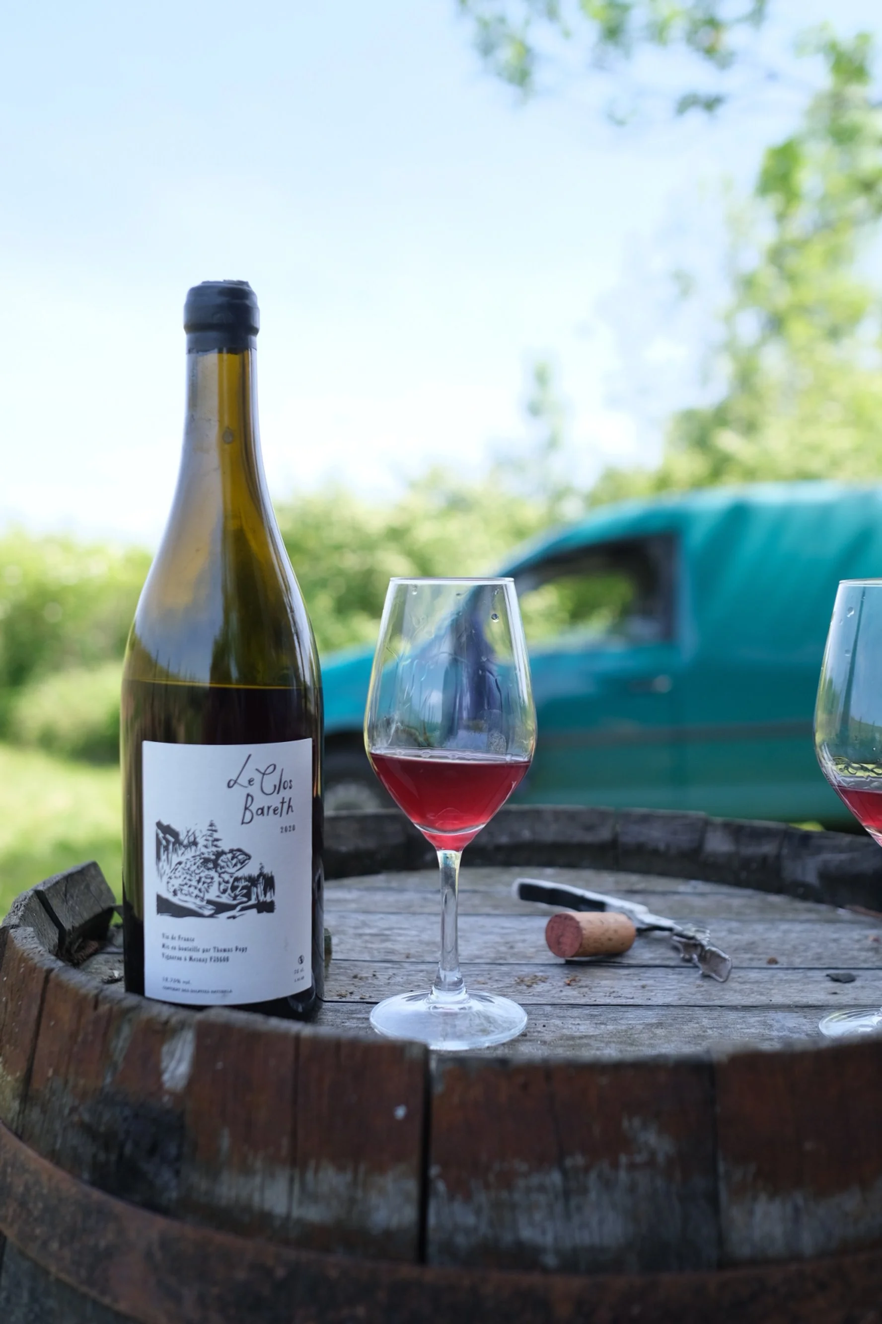 thomas_popy_melin_vin_03.jpg