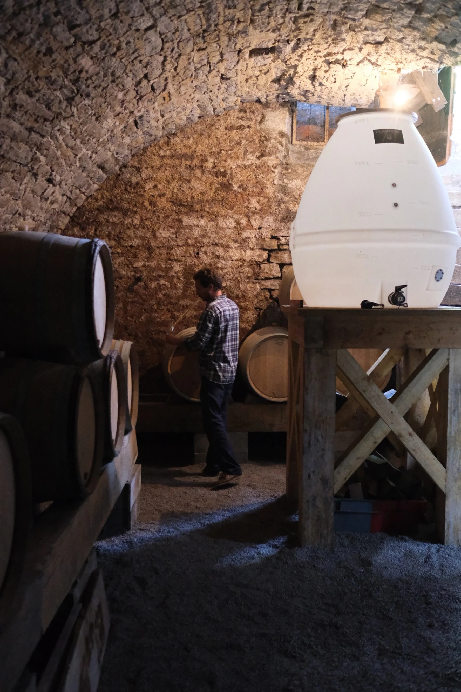 thomas_popy_melin_vin_08.jpg
