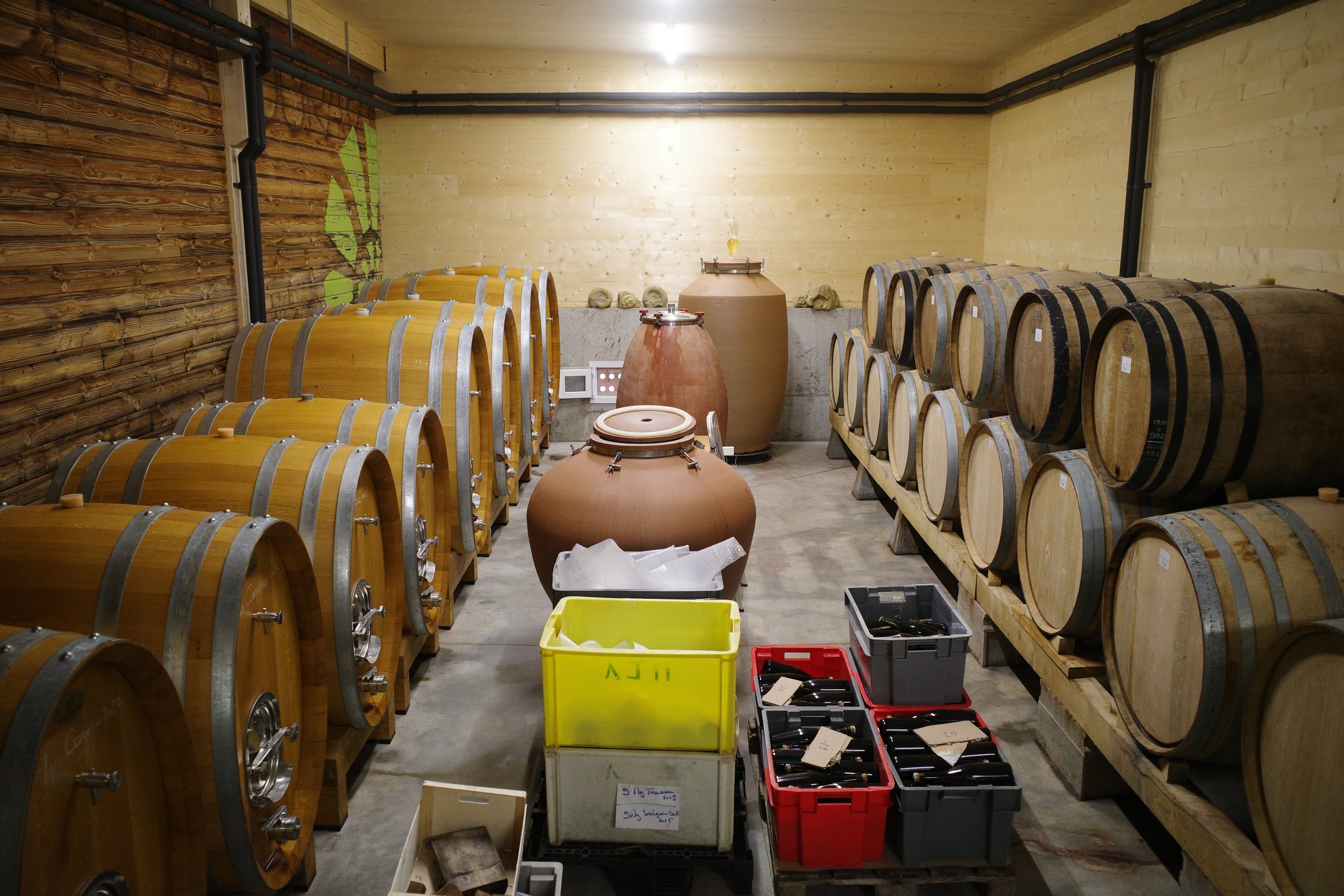 domaine_de_la_touraize_melin_vin_07.JPG