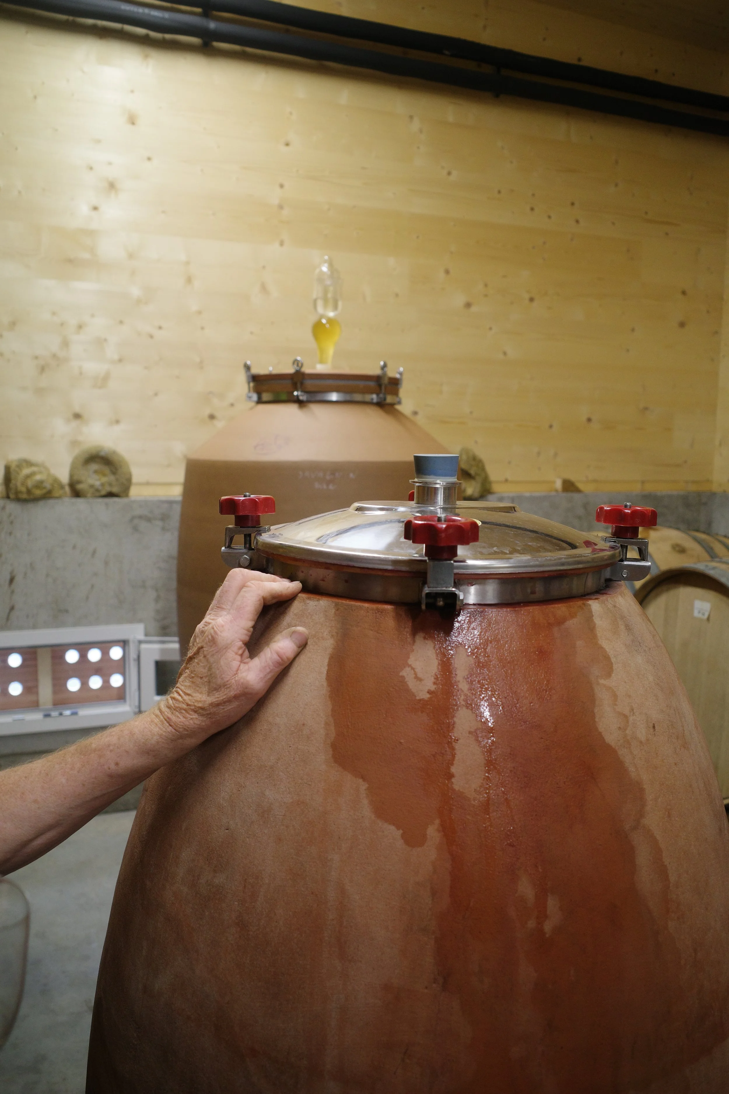 domaine_de_la_touraize_melin_vin_09.JPG