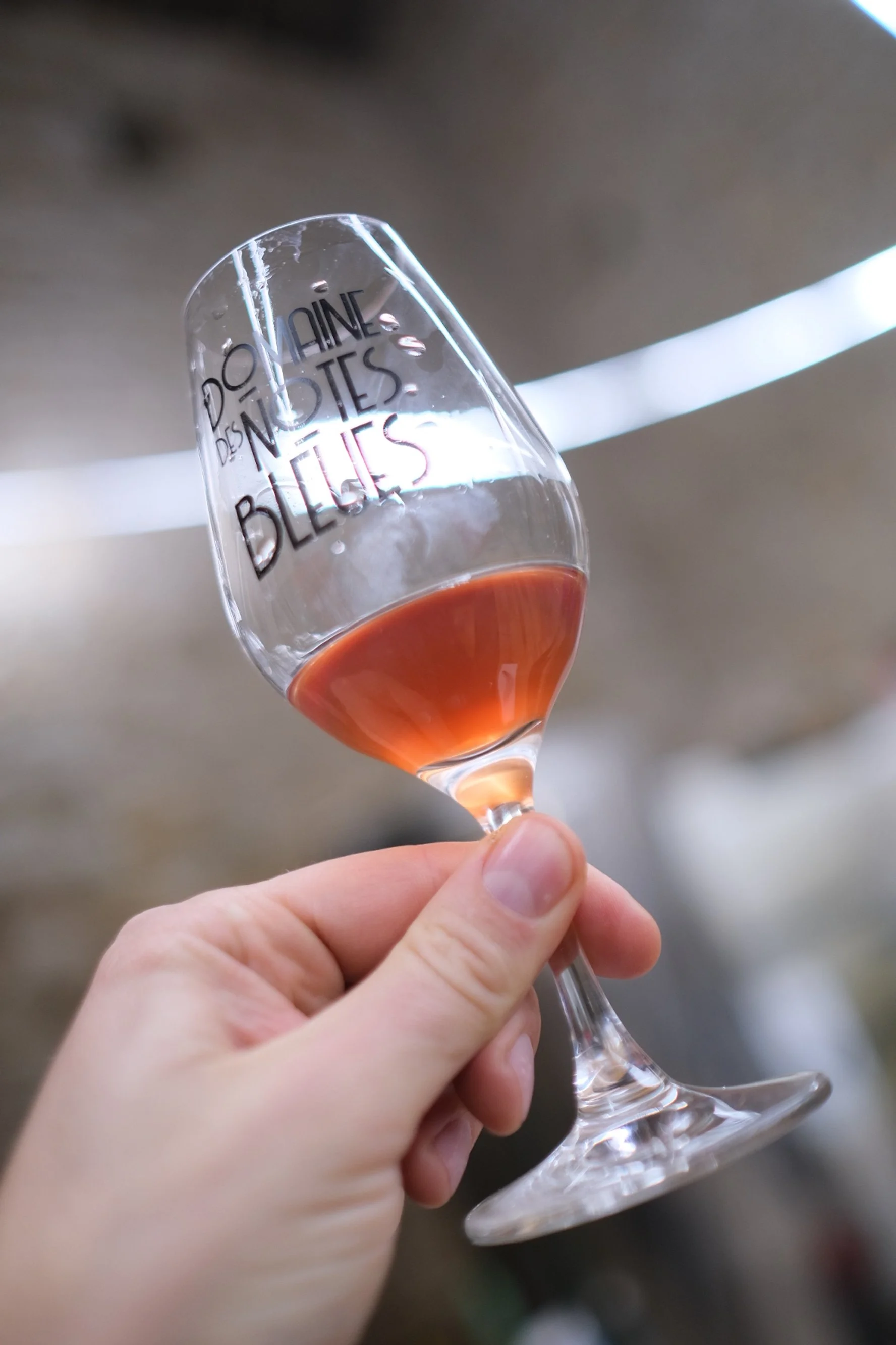 domaines_des_notes_bleues_melin_vin_06.jpg