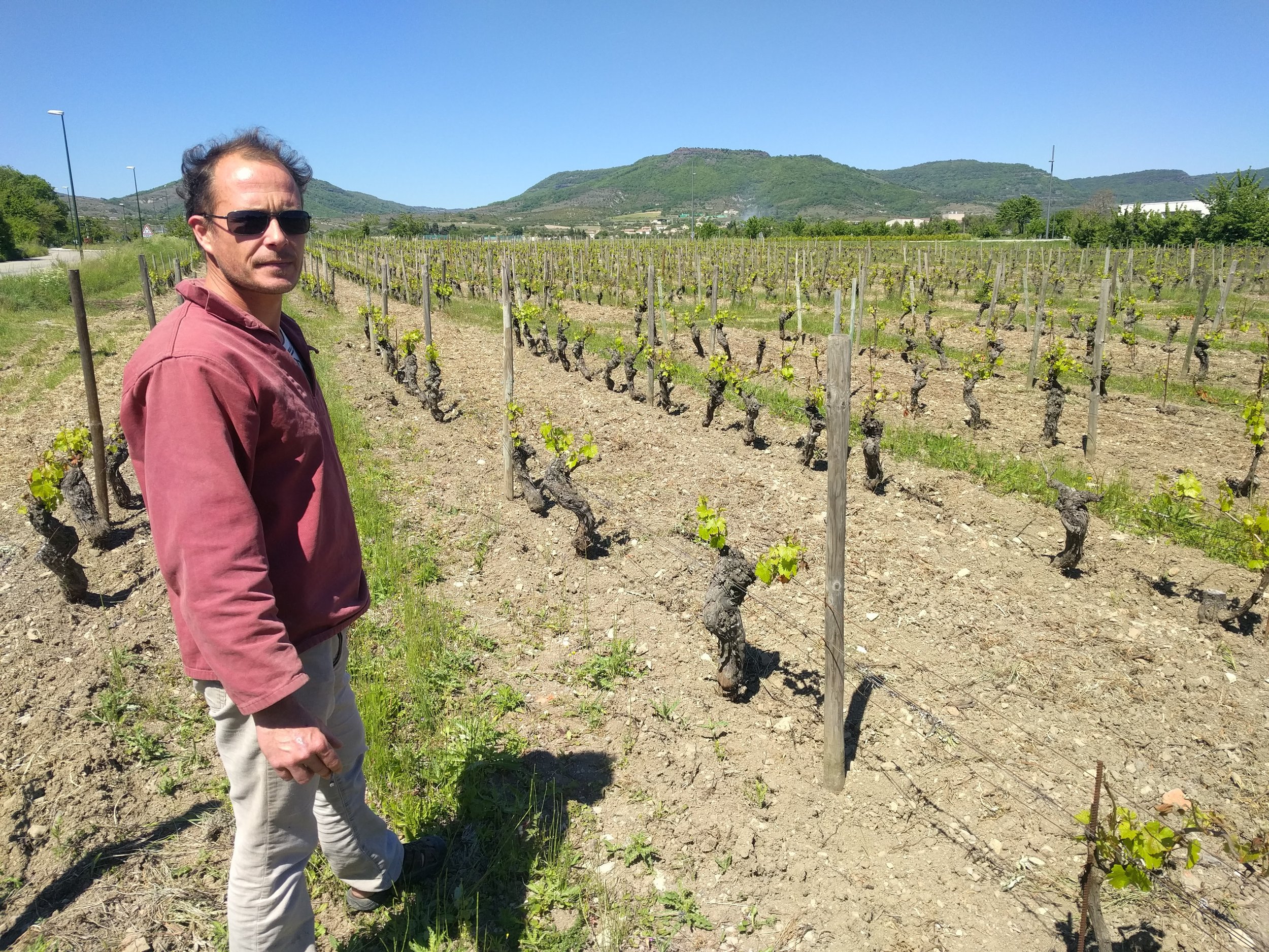 gregory_guillaume_melin_vin_01.jpg