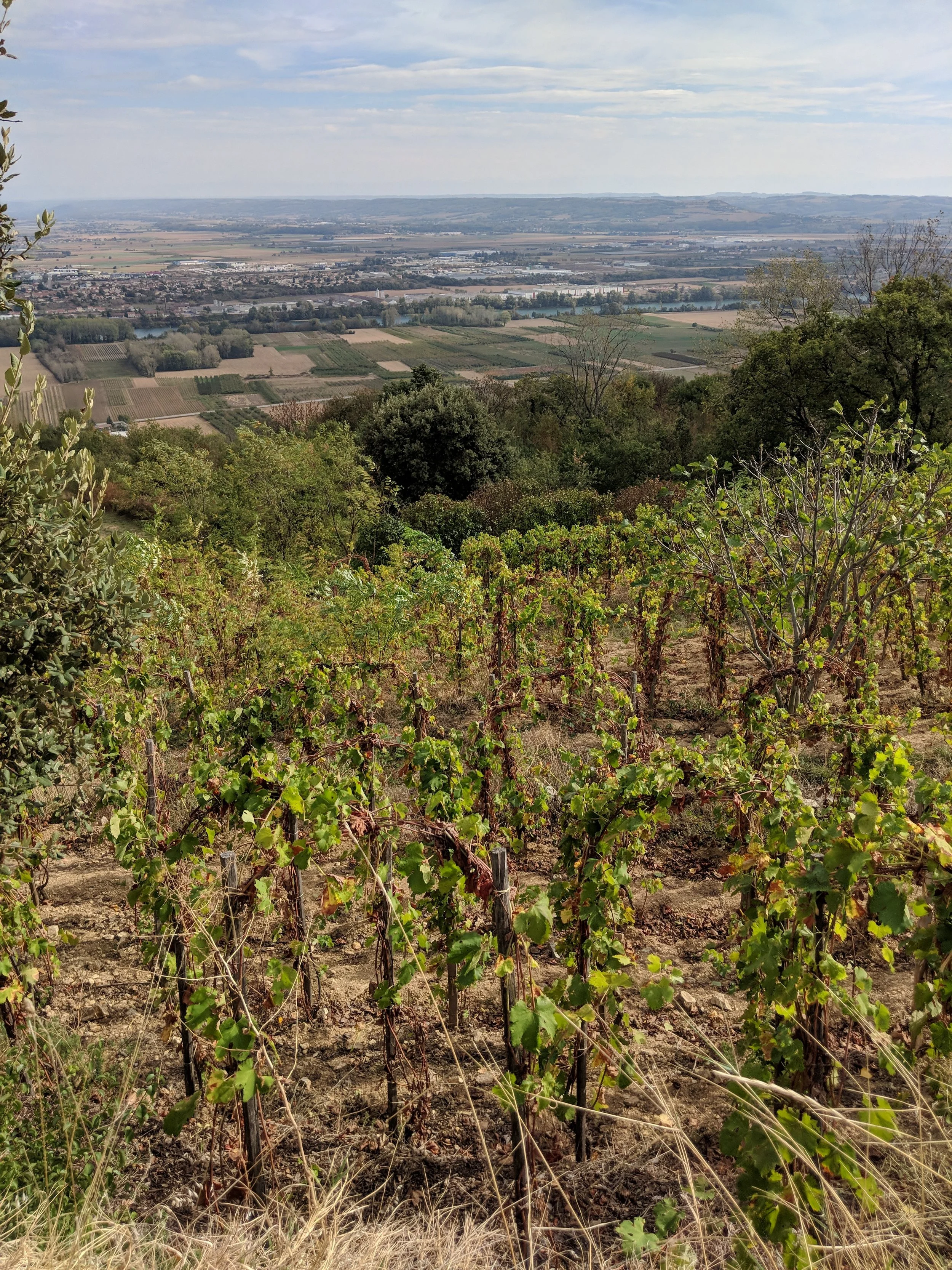 ferme_des_sept_lunes_melin_vin_02.jpg