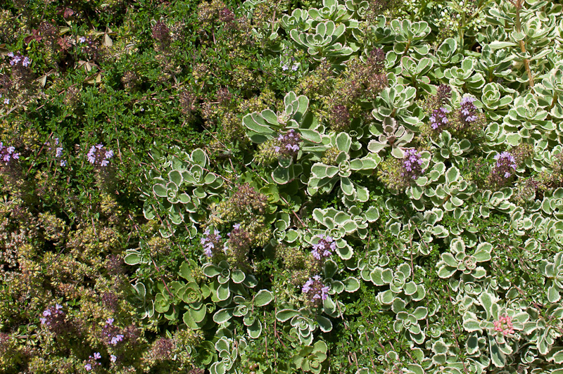 kp_5284.jpg