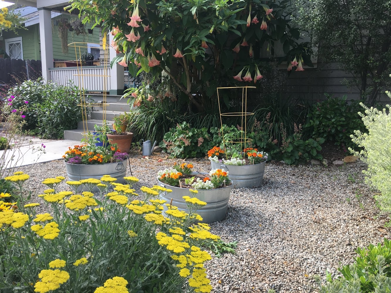 The client needed two things to make this front yard usable: extra width on the original 1920’s driveway and a welcoming front path from the sidewalk to the front door. We demo’d the existing path and repurposed that concrete into pavers to widen th