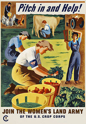 wla poster.jpg