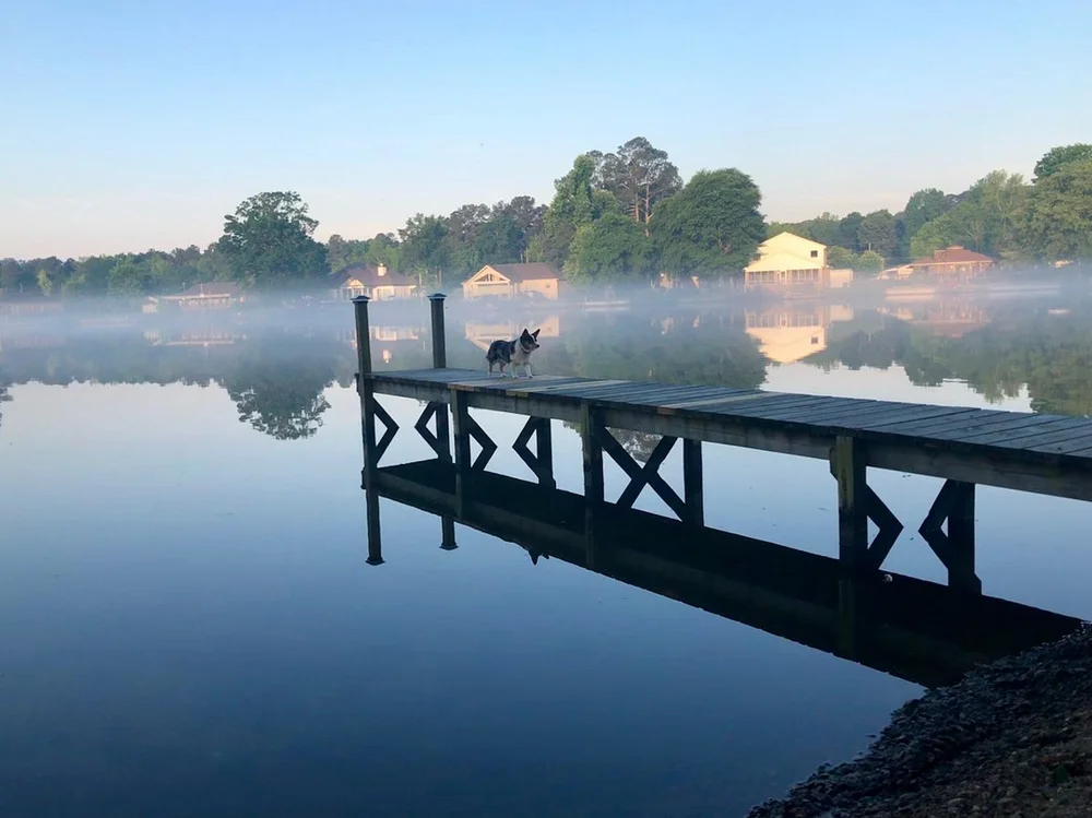 Lakefront RV Park In Hot Springs Arkansas