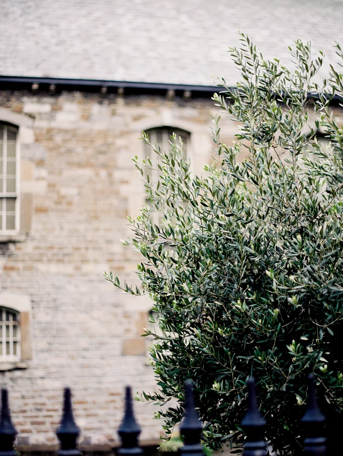 travel ireland-4.jpg