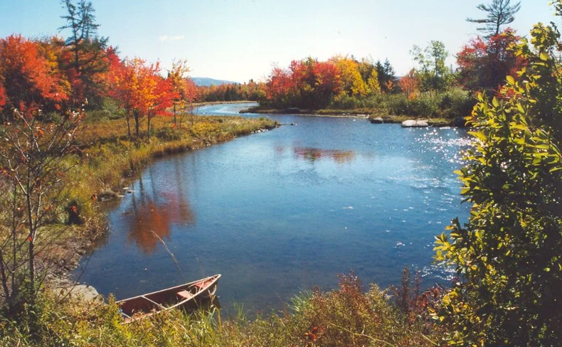 NE_Creek_150.jpg