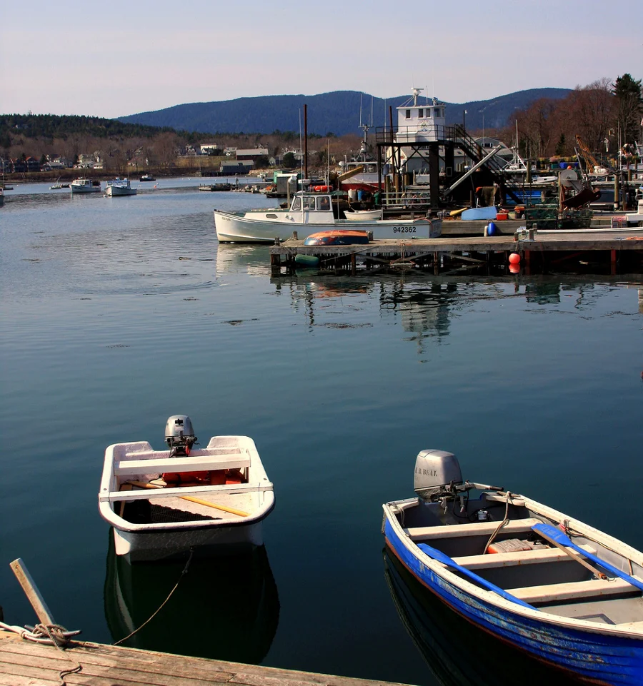 Image by Dana Moos . Licensed under Creative Commons.