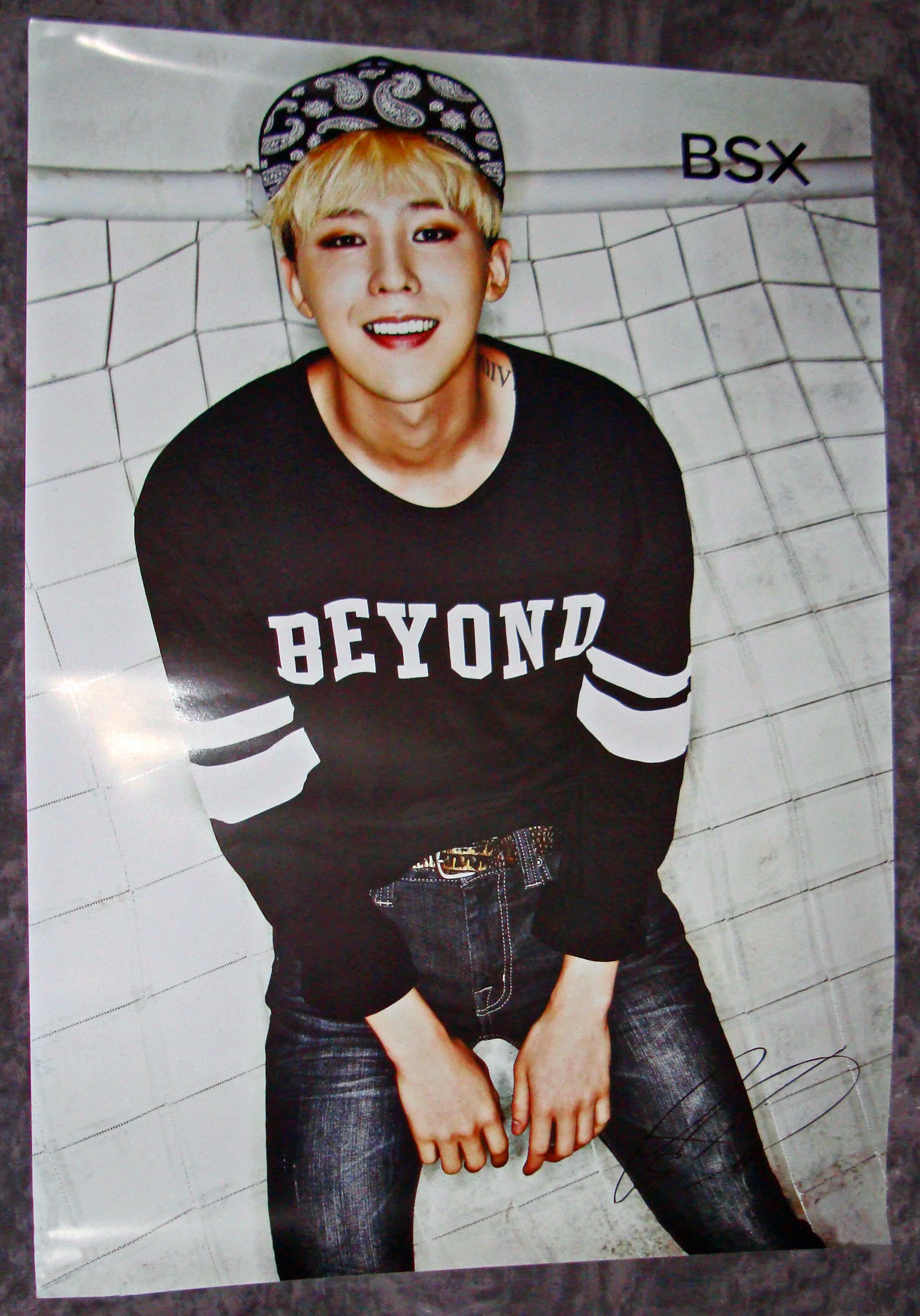 2013 - BSX - Poster
