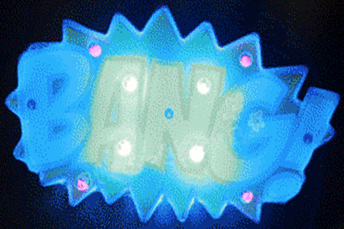 2008 - Global Warning Tour - Flash Ring