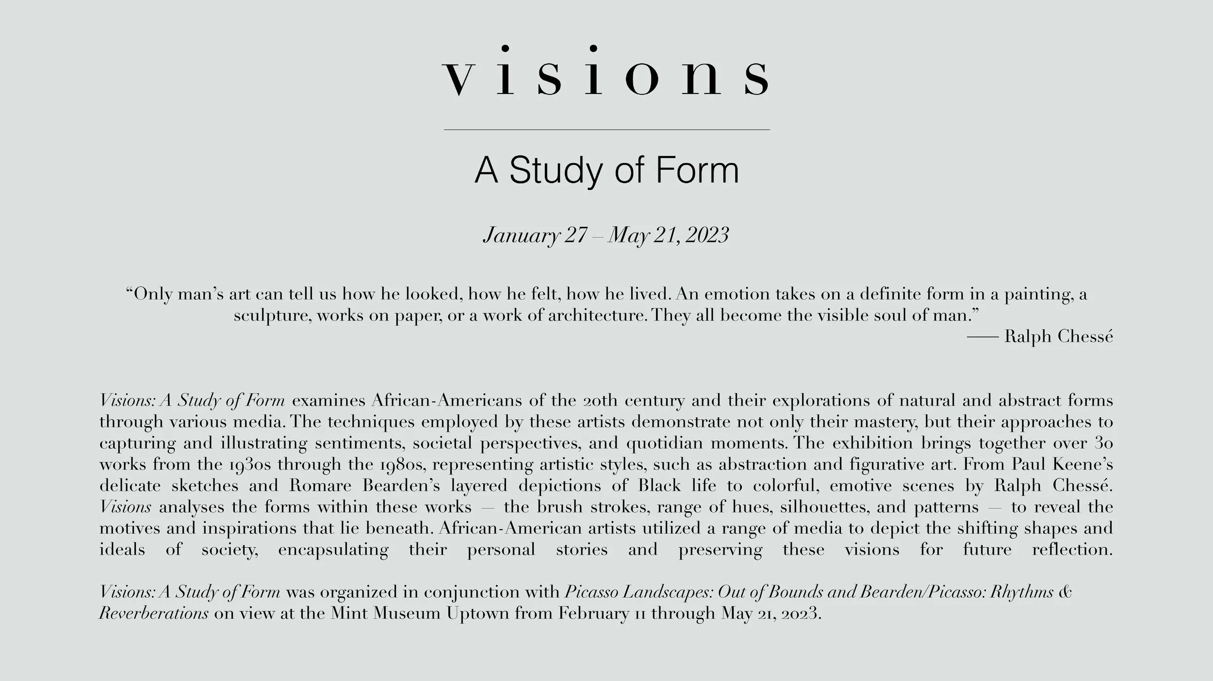 visions info logo.jpg