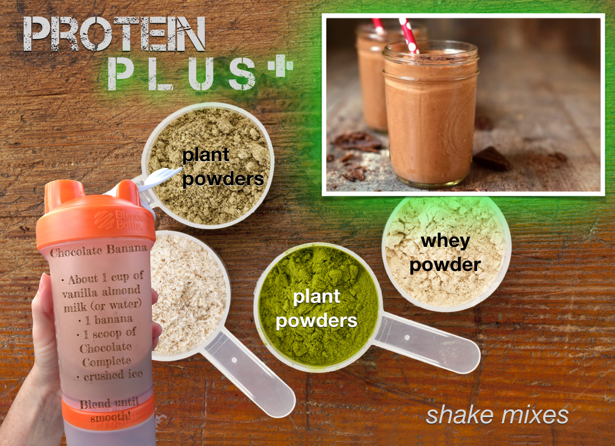Plant powders contain: carbs, proteins, fats, fiber, vitamins, minerals, enzymes, anti-oxidants, phytonutrients.