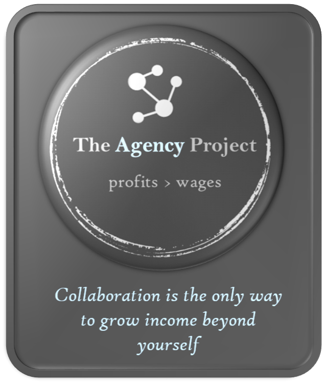 The Agency Project.png