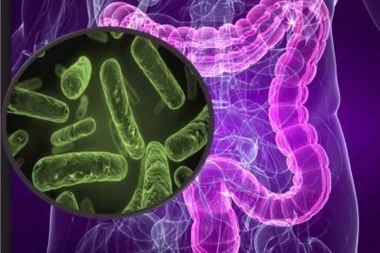 microbiota.jpg