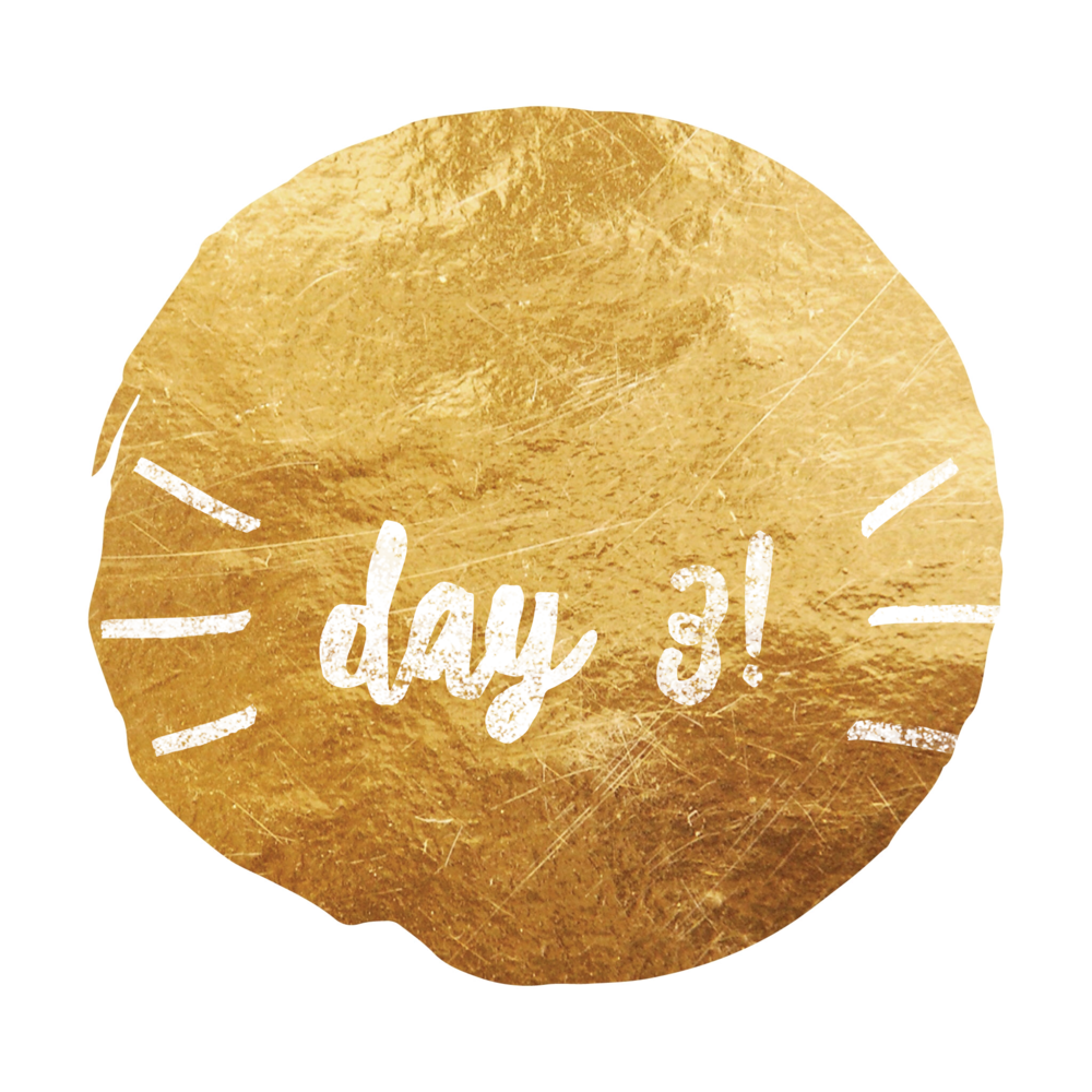 Day 3.png