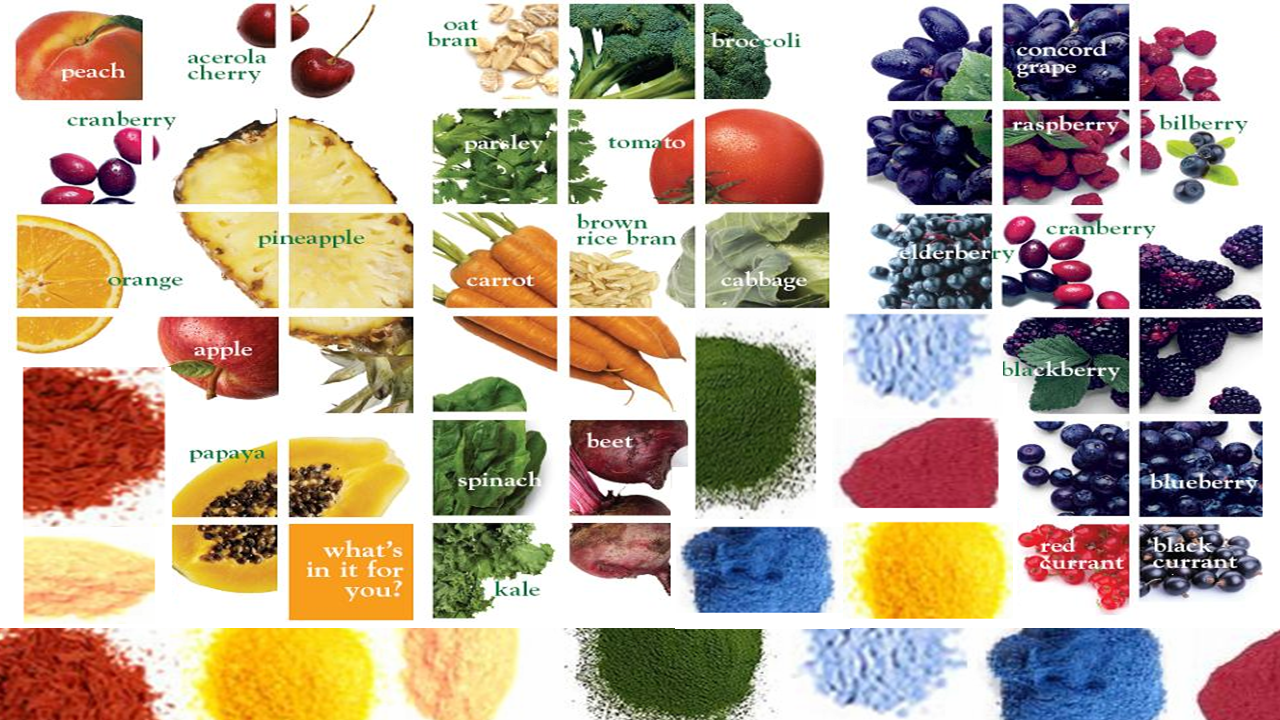 The sense and science of plant (produce) powders